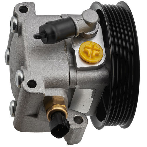 GPP100110 — G.U.D — Насос гидроусилителя руля