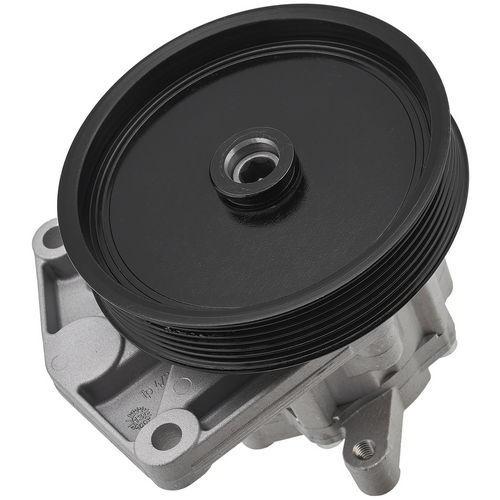 GPP100154 — G.U.D — Насос гидроусилителя руля